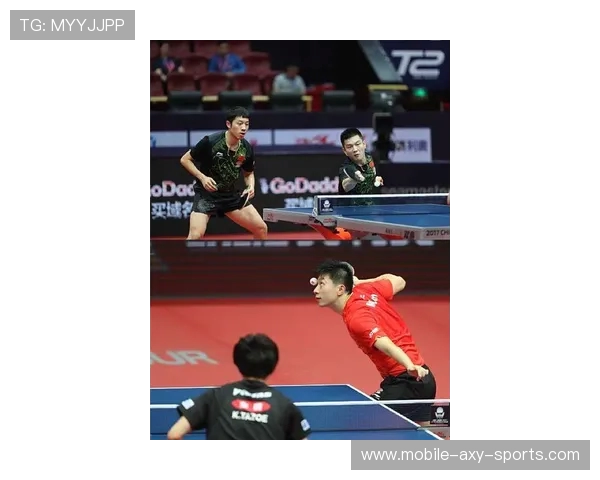 樊振东以坚毅拼搏诠释新时代乒乓精神书写中国体育荣耀新篇章