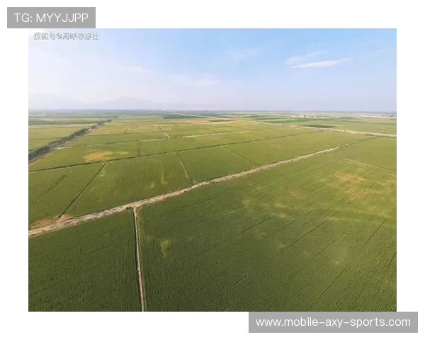 辽宁本钢加快绿色智能转型推动钢铁产业高质量发展新格局