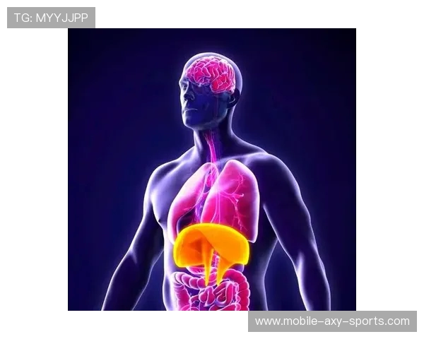 探索全身运动的奥秘提升身体素质打破运动瓶颈的五个关键要素