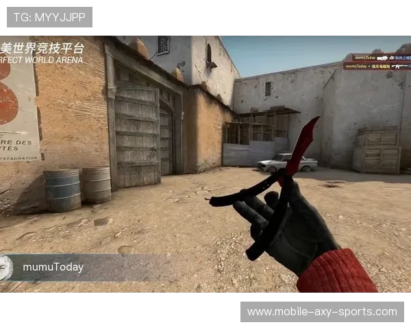 TES在CSGO赛场的经验变革与未来发展探讨