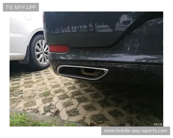 武汉飞盘队团队协作的独特优势与其他队伍的对比分析