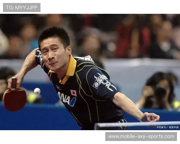 深圳乒乓球队进攻战术解析与技术特点深度剖析