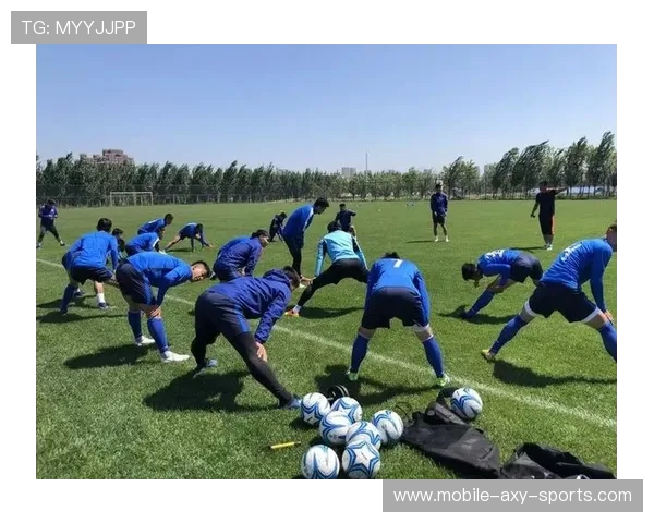 西安羽毛球队在城市联赛中的战术意识与团队配合表现分析